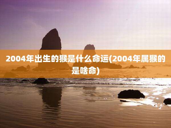 2004年出生的猴是什么命运(2004年属猴的是啥命)