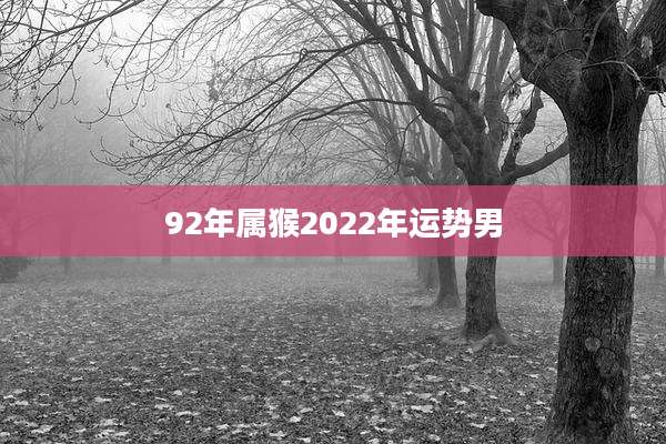 92年属猴2022年运势男