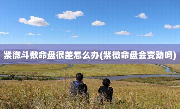 紫微斗数命盘很差怎么办(紫微命盘会变动吗)