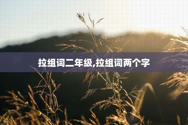 拉组词二年级,拉组词两个字