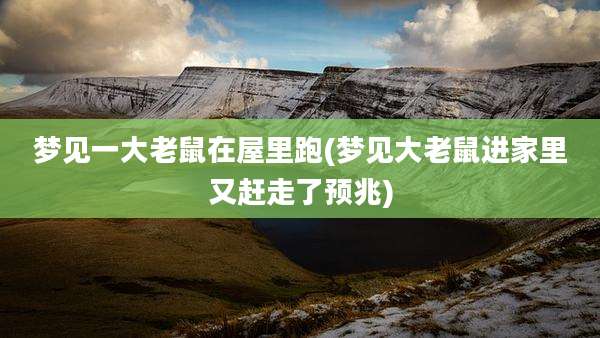 梦见一大老鼠在屋里跑(梦见大老鼠进家里又赶走了预兆)