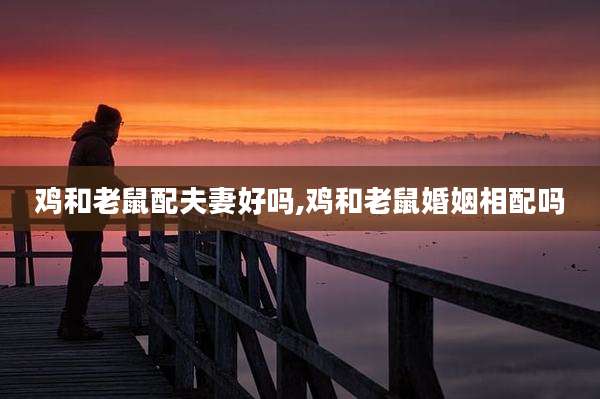鸡和老鼠配夫妻好吗,鸡和老鼠婚姻相配吗