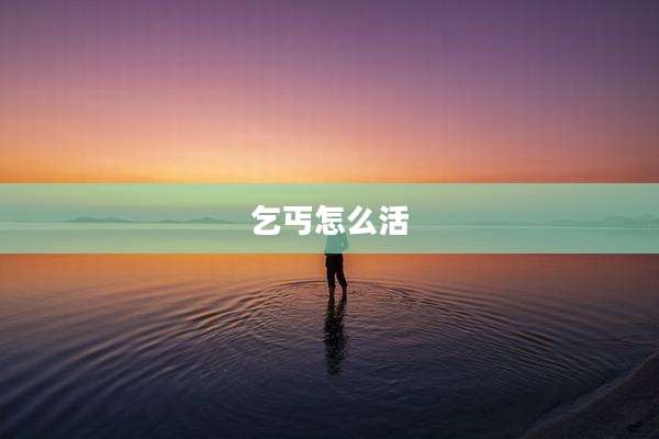 乞丐怎么活