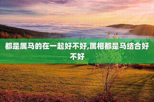 都是属马的在一起好不好,属相都是马结合好不好