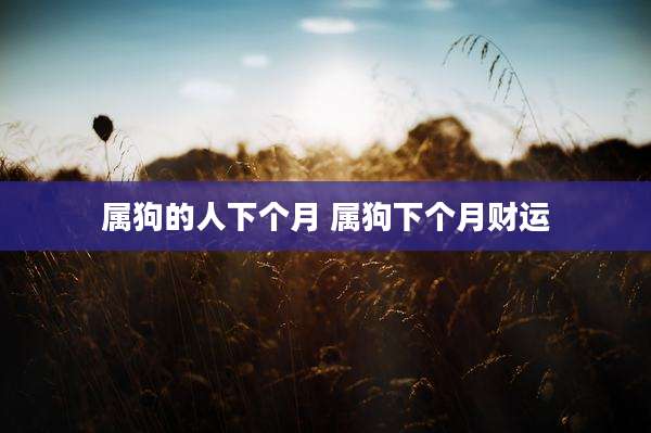 属狗的人下个月 属狗下个月财运