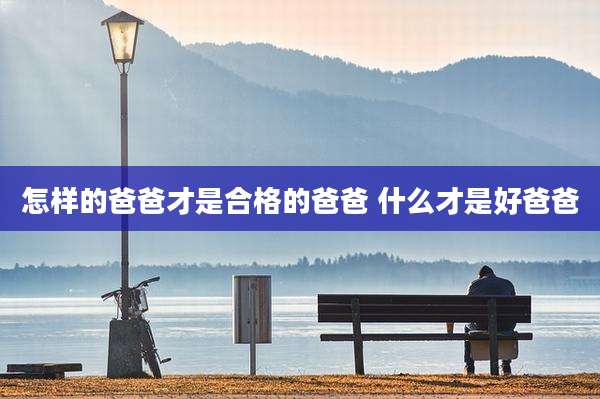 怎样的爸爸才是合格的爸爸 什么才是好爸爸