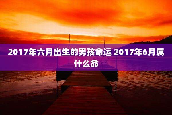 2017年六月出生的男孩命运 2017年6月属什么命