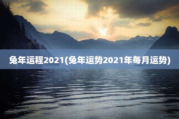 兔年运程2021(兔年运势2021年每月运势)