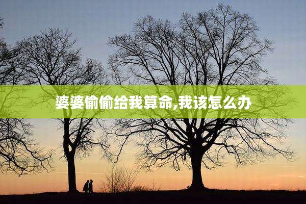 婆婆偷偷给我算命,我该怎么办