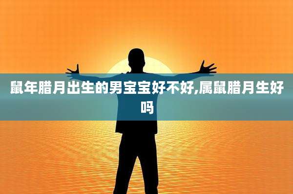 鼠年腊月出生的男宝宝好不好,属鼠腊月生好吗