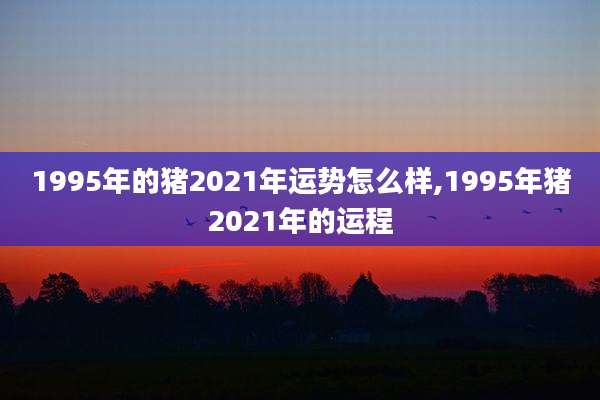 1995年的猪2021年运势怎么样,1995年猪2021年的运程