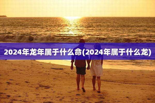 2024年龙年属于什么命(2024年属于什么龙)