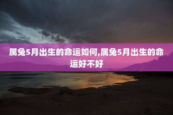 属兔5月出生的命运如何,属兔5月出生的命运好不好
