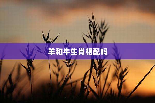 羊和牛生肖相配吗