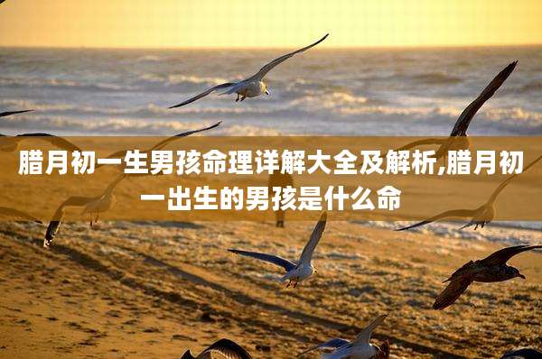 腊月初一生男孩命理详解大全及解析,腊月初一出生的男孩是什么命