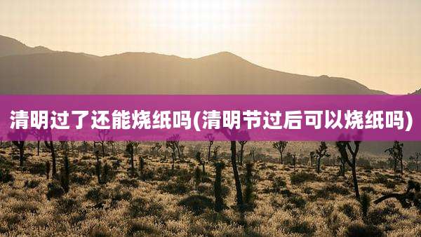 清明过了还能烧纸吗(清明节过后可以烧纸吗)