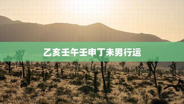 乙亥壬午壬申丁未男行运