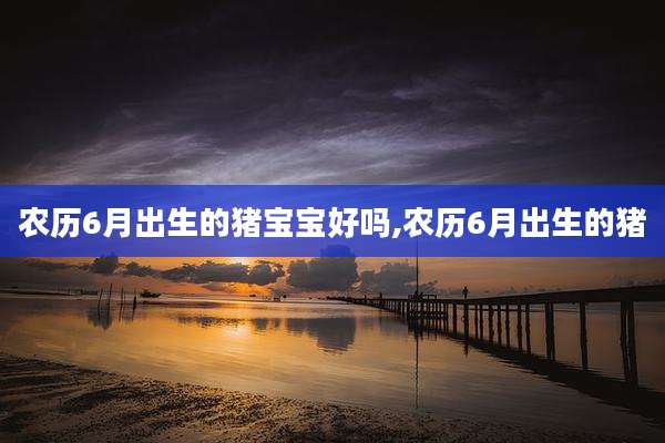 农历6月出生的猪宝宝好吗,农历6月出生的猪
