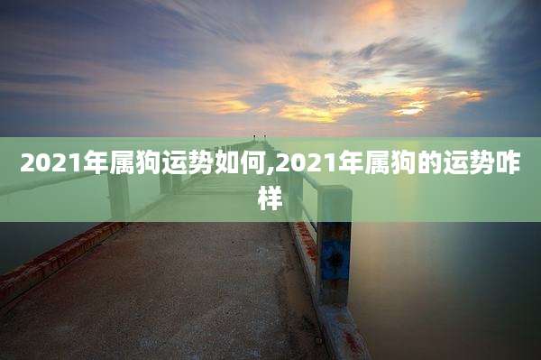 2021年属狗运势如何,2021年属狗的运势咋样