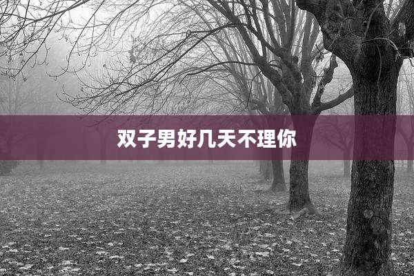 双子男好几天不理你