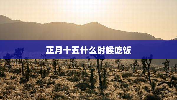 正月十五什么时候吃饭