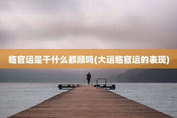 临官运是干什么都顺吗(大运临官运的表现)