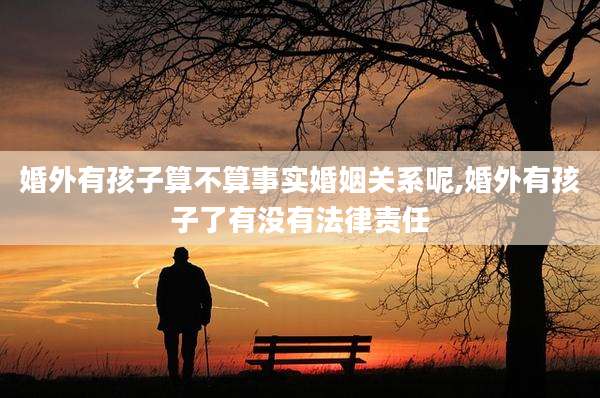 婚外有孩子算不算事实婚姻关系呢,婚外有孩子了有没有法律责任