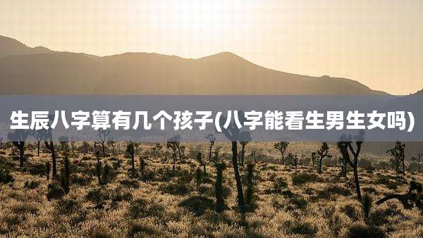 生辰八字算有几个孩子(八字能看生男生女吗)