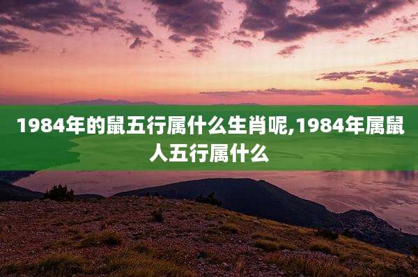 1984年的鼠五行属什么生肖呢,1984年属鼠人五行属什么