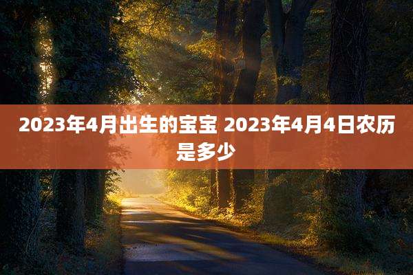 2023年4月出生的宝宝 2023年4月4日农历是多少