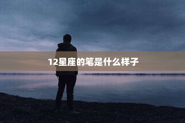 12星座的笔是什么样子