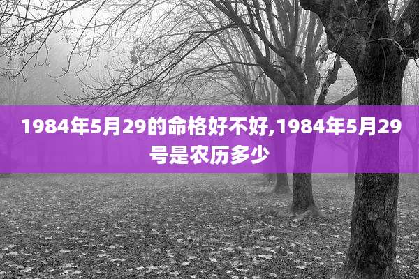 1984年5月29的命格好不好,1984年5月29号是农历多少