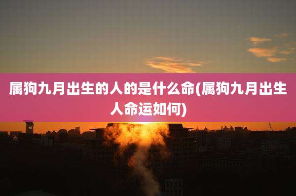 属狗九月出生的人的是什么命(属狗九月出生人命运如何)
