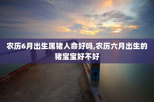 农历6月出生属猪人命好吗,农历六月出生的猪宝宝好不好