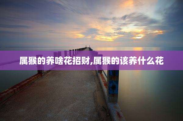 属猴的养啥花招财,属猴的该养什么花