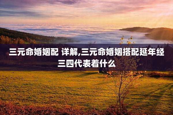 三元命婚姻配 详解,三元命婚姻搭配延年经三四代表着什么