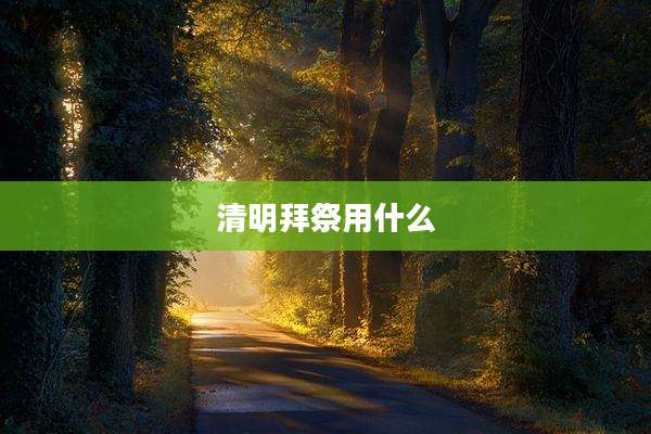 清明拜祭用什么