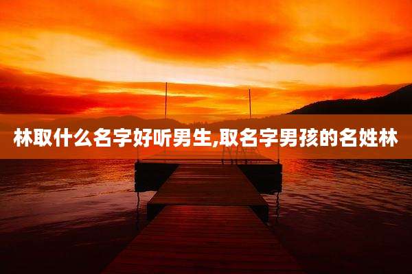 林取什么名字好听男生,取名字男孩的名姓林