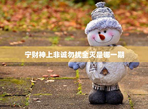 宁财神上非诚勿扰全灭是哪一期