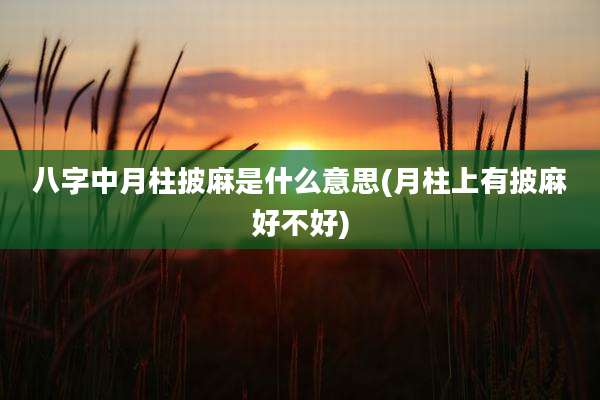 八字中月柱披麻是什么意思(月柱上有披麻好不好)