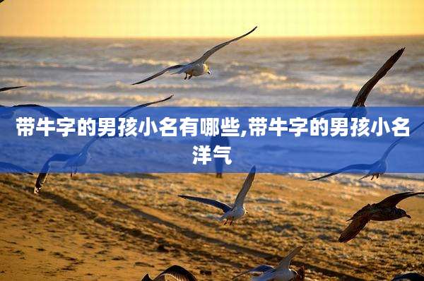 带牛字的男孩小名有哪些,带牛字的男孩小名洋气
