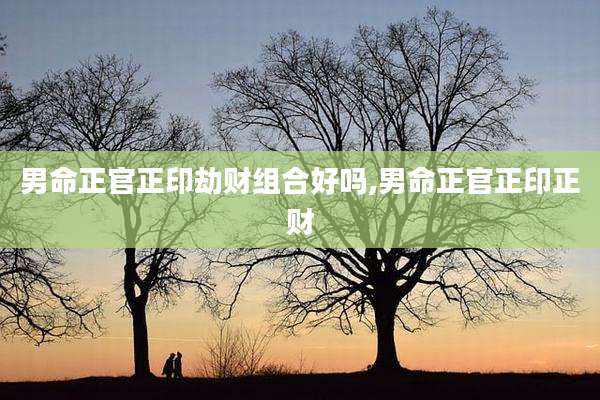 男命正官正印劫财组合好吗,男命正官正印正财