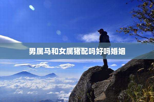 男属马和女属猪配吗好吗婚姻