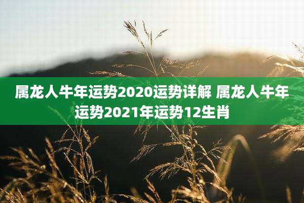 属龙人牛年运势2020运势详解 属龙人牛年运势2021年运势12生肖
