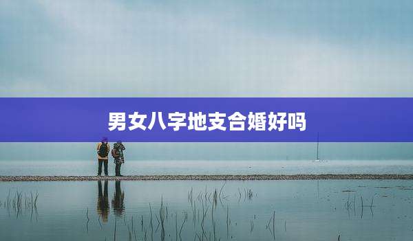 男女八字地支合婚好吗