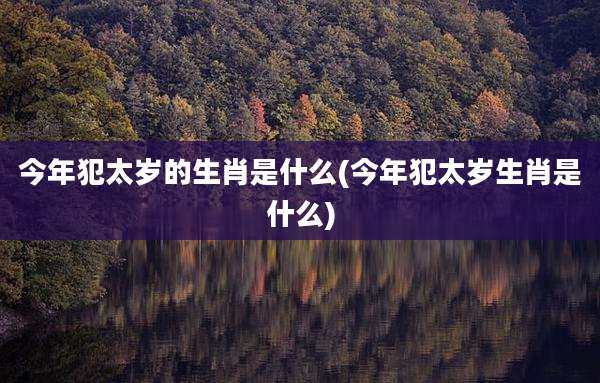 今年犯太岁的生肖是什么(今年犯太岁生肖是什么)