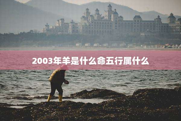 2003年羊是什么命五行属什么