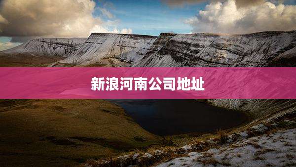 新浪河南公司地址