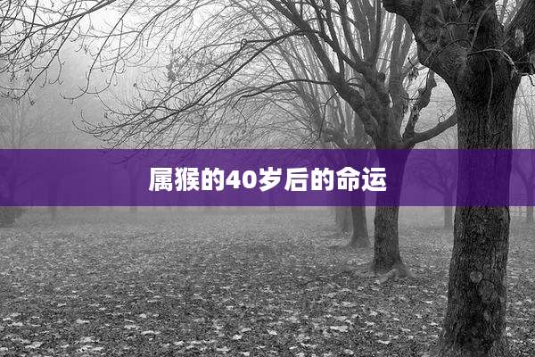 属猴的40岁后的命运