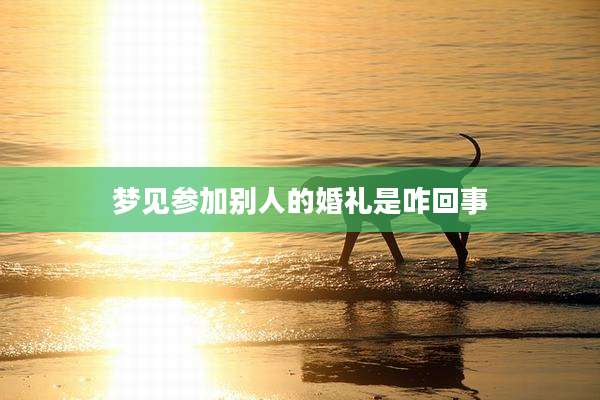 梦见参加别人的婚礼是咋回事